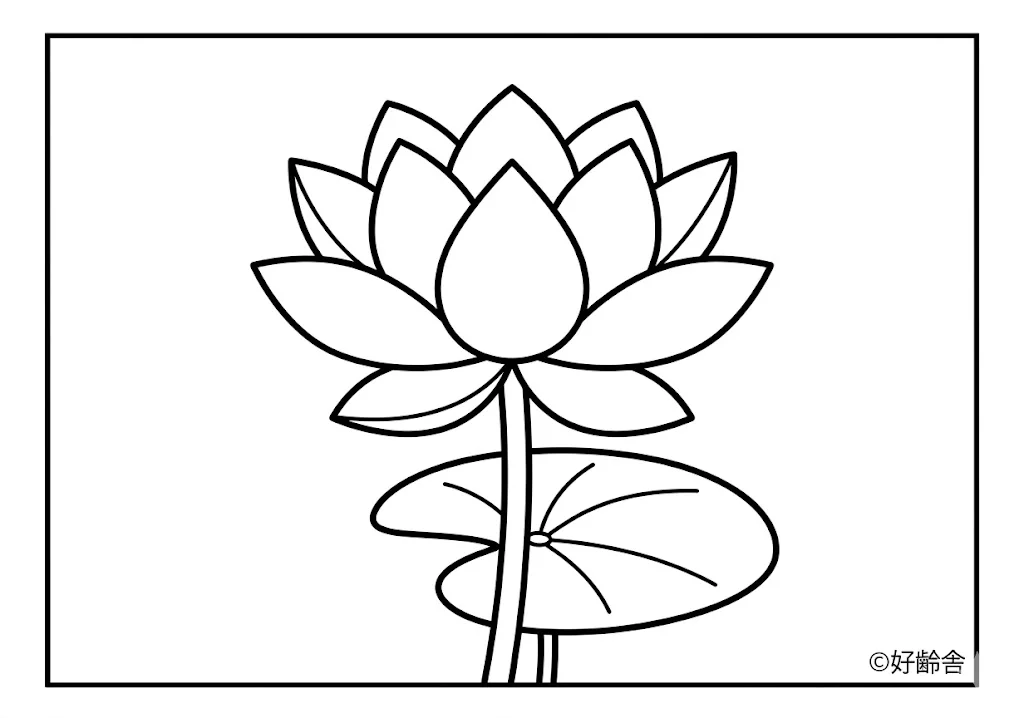 高齢者向け無料塗り絵：はす（初級）