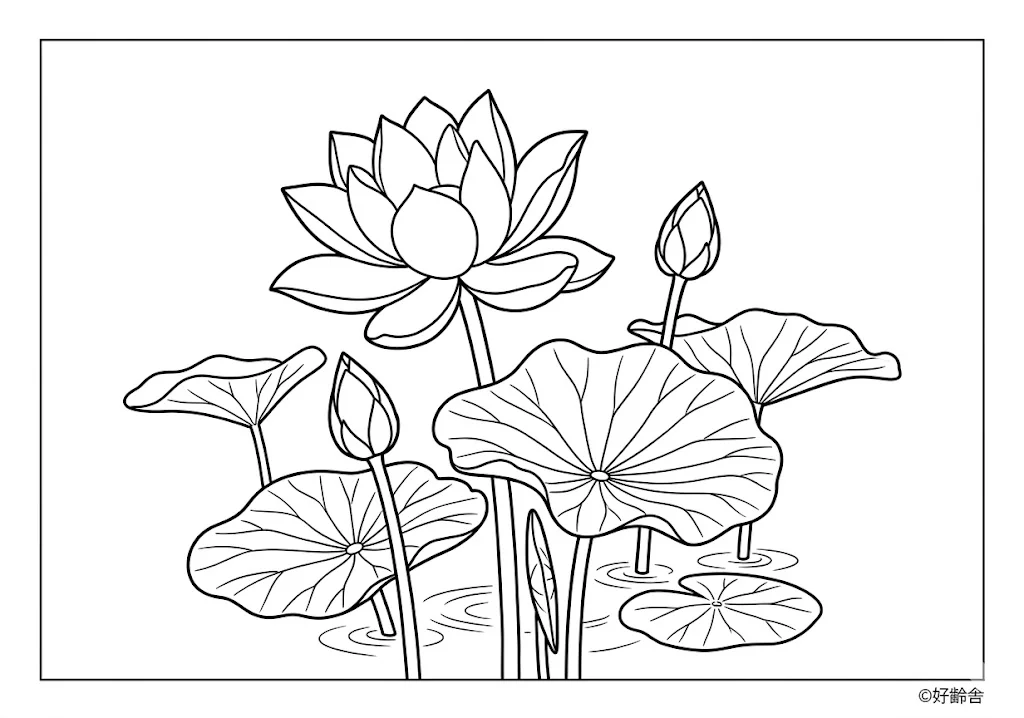 高齢者向け無料塗り絵：はす（上級）