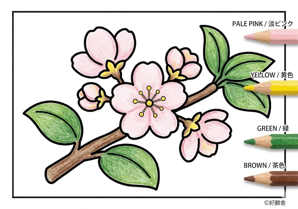 桃の花の塗り絵 完成見本（彩色の見本）