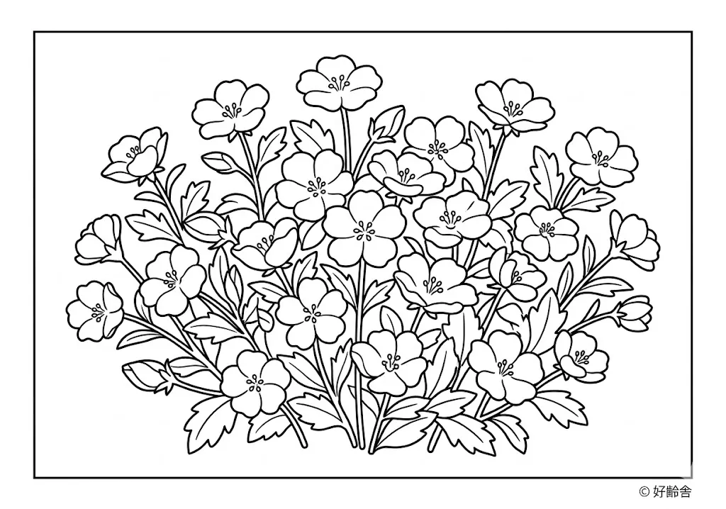 高齢者向け無料塗り絵：空のような青色が美しい可憐なネモフィラ（上級・A4印刷用）