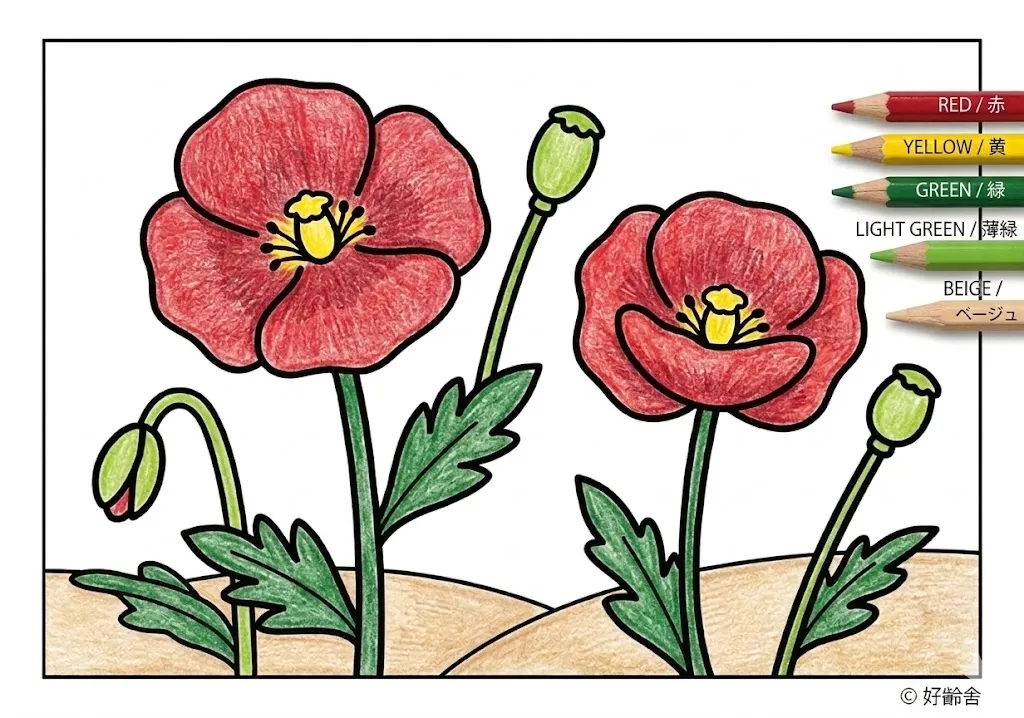 ポピーの塗り絵 完成見本（彩的な見本）