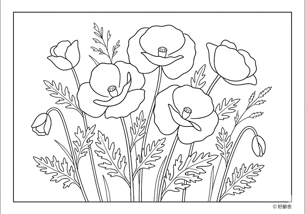 高齢者向け無料塗り絵：ひなげしとも呼ばれる明るく可愛らしいポピー（上級・A4印刷用）