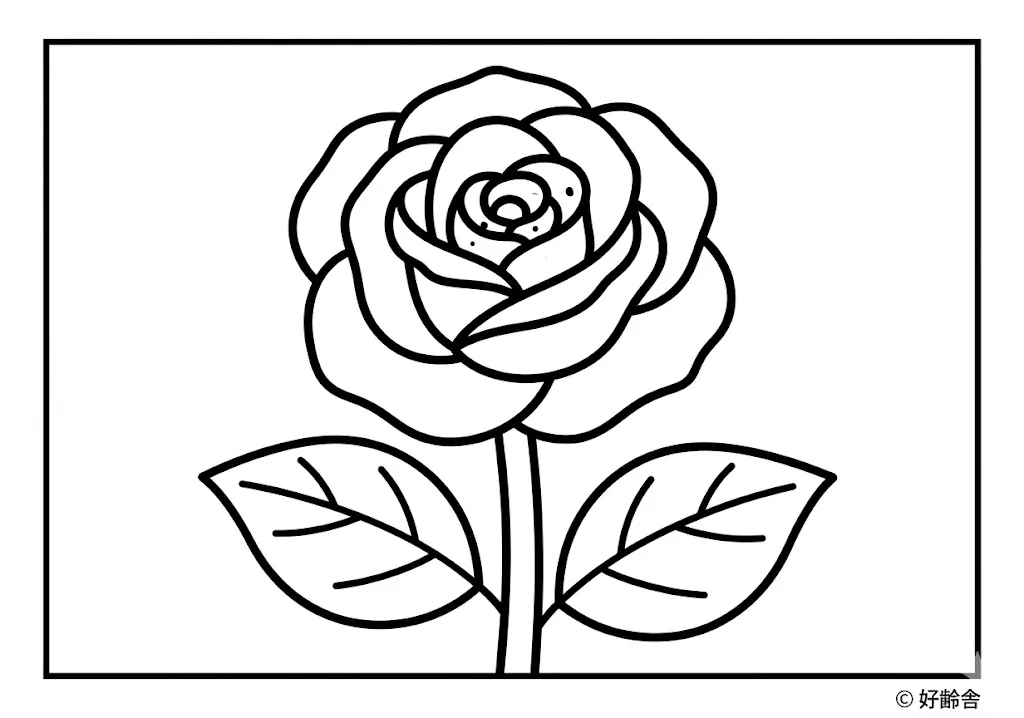 高齢者向け無料塗り絵：華やかで気品あふれる美しいバラ（初級・A4印刷用）