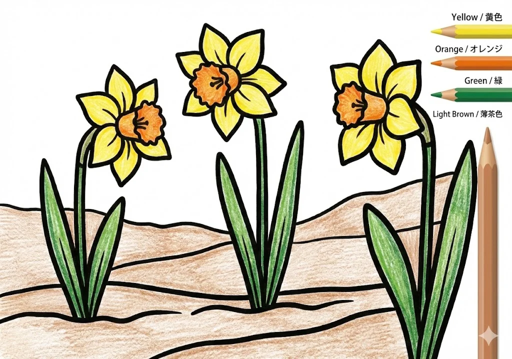 水仙の塗り絵 完成見本（彩的な見本）