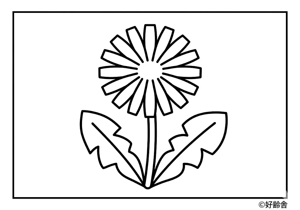 高齢者向け無料塗り絵：身近な春の花タンポポ（初級・A4印刷用）