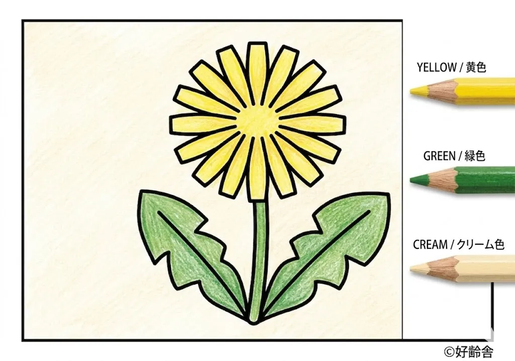 タンポポの塗り絵 完成見本（彩的な見本）