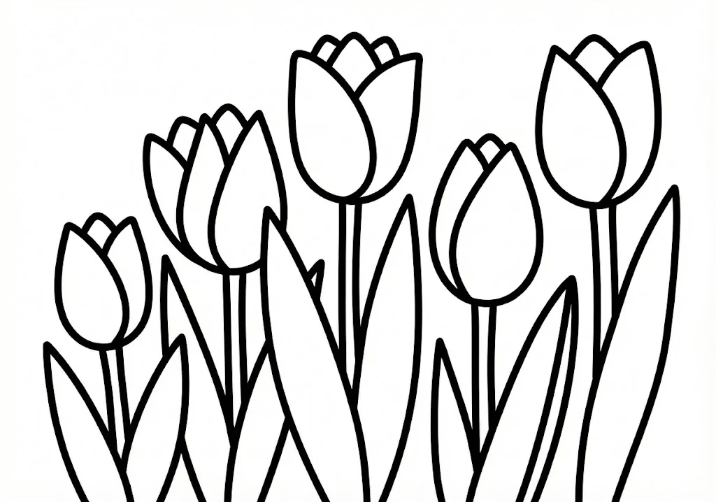 高齢者向け無料塗り絵：春の花壇を彩る色とりどりで可愛らしいチューリップ（初級・A4印刷用）