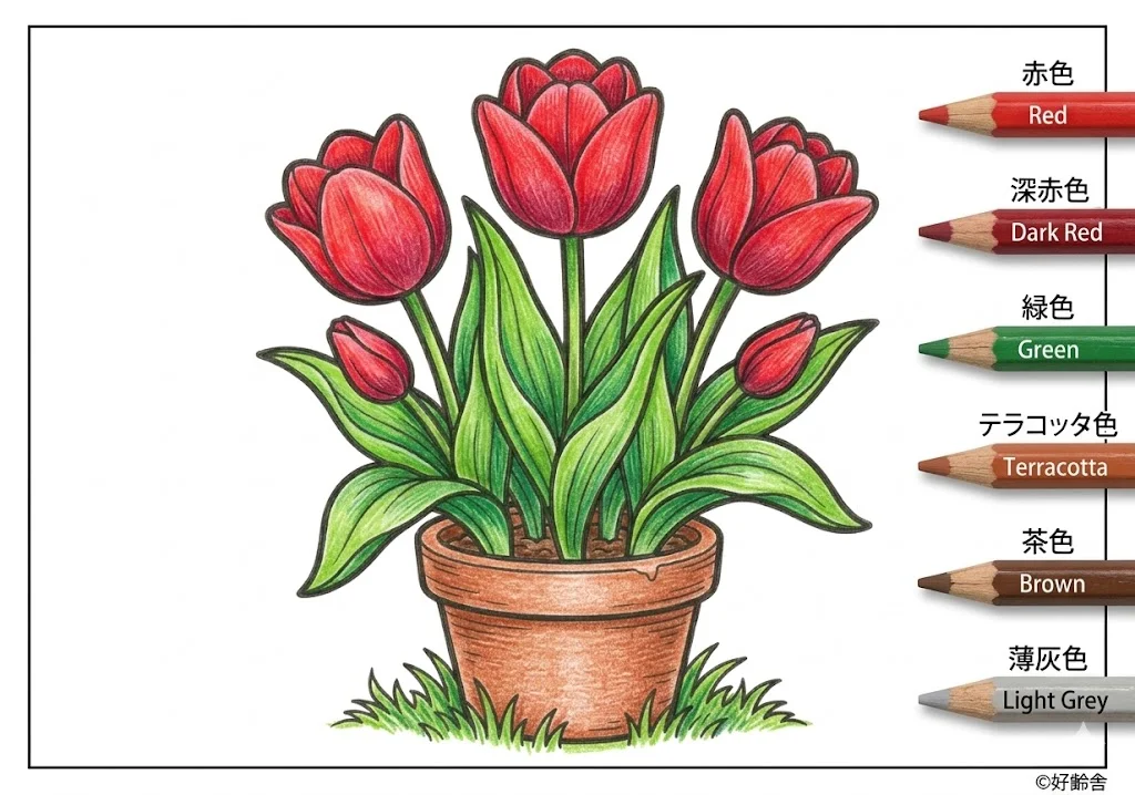 チューリップ2の塗り絵 完成見本