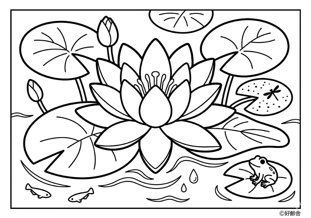 睡蓮の塗り絵 無料印刷 高齢者レク