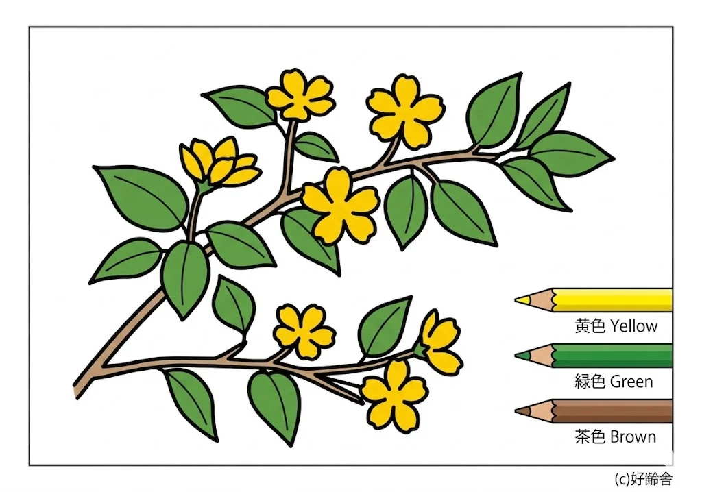 ヤマブキの塗り絵 完成見本