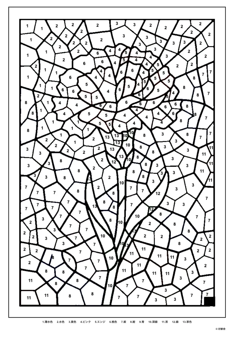 カーネーション