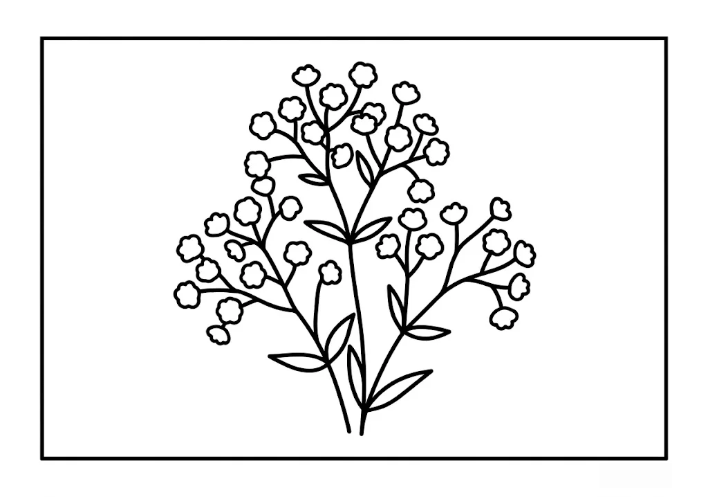 어르신을 위한 인쇄용 안개꽃 컬러링북 색칠 도안