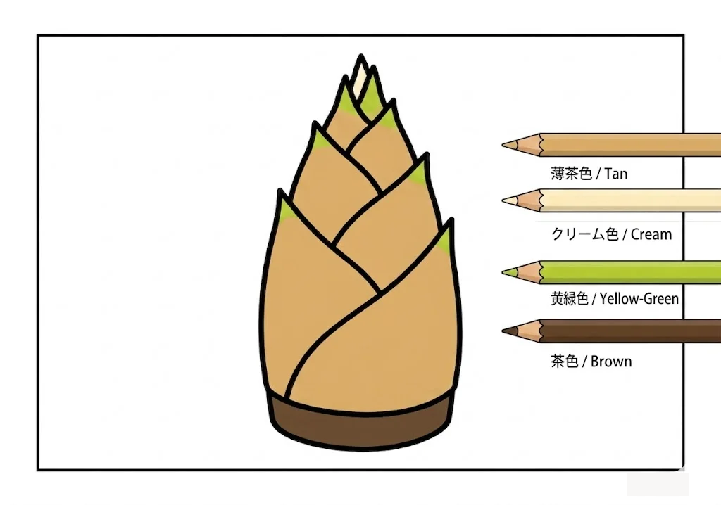 채색된 죽순 색칠북 색칠 도안 예시