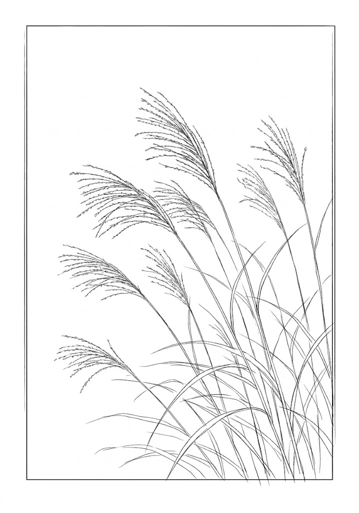 억새 — 달인급