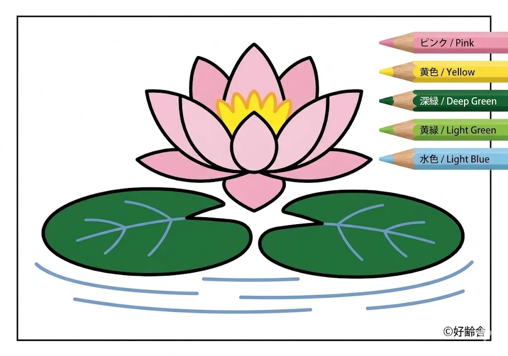 수련 색칠본
