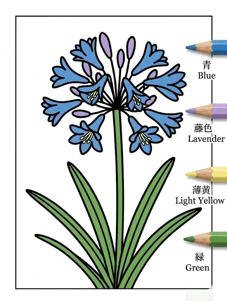 完成著色範例