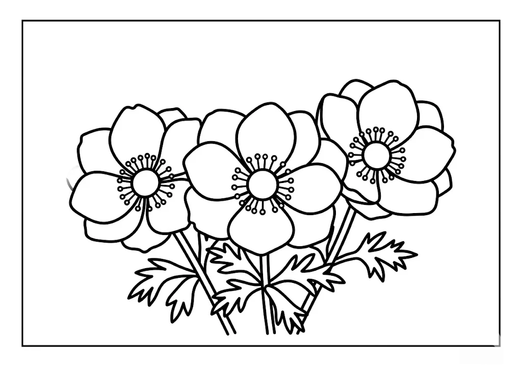 銀蓮花 — 給銀髮族的可列印著色圖