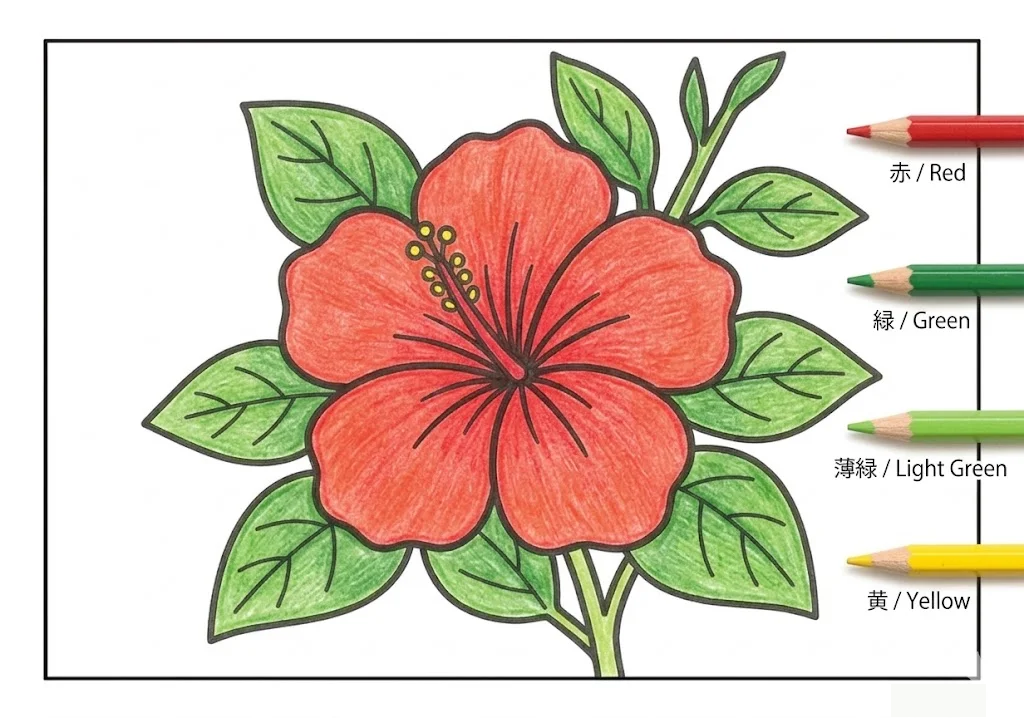 扶桑花 — 完成上色範例
