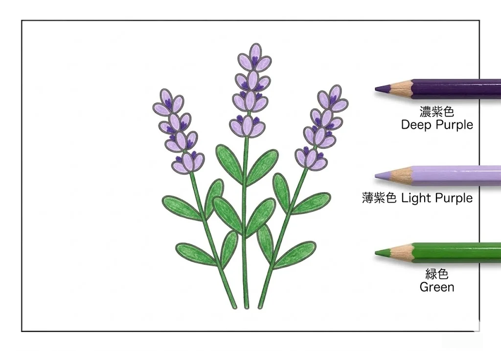薰衣草 — 完成上色範例