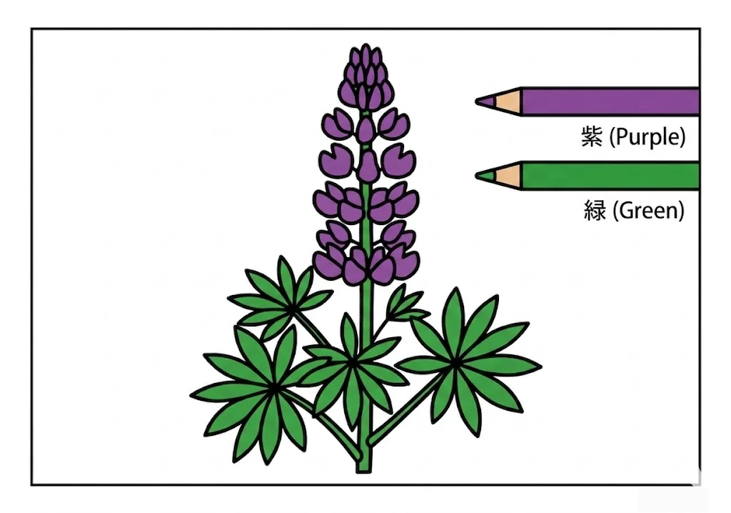 魯冰花 — 完成上色範例