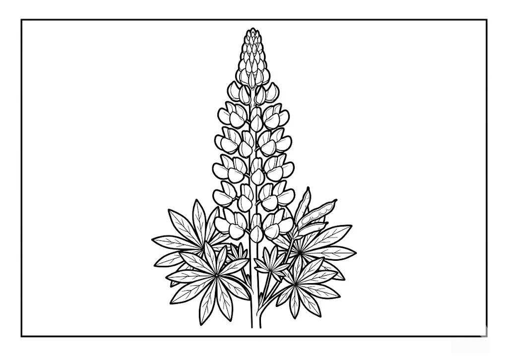 魯冰花 — 給銀髮族的可列印著色圖