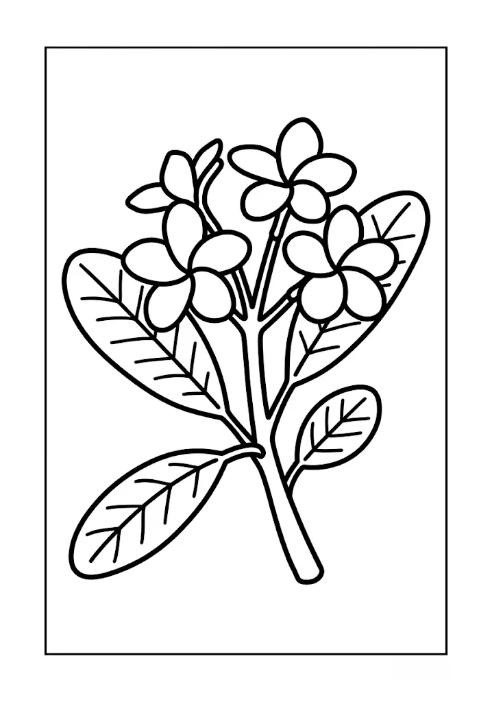 雞蛋花