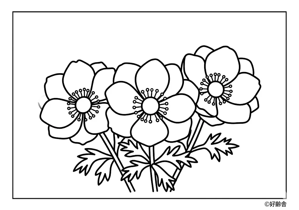 銀蓮花