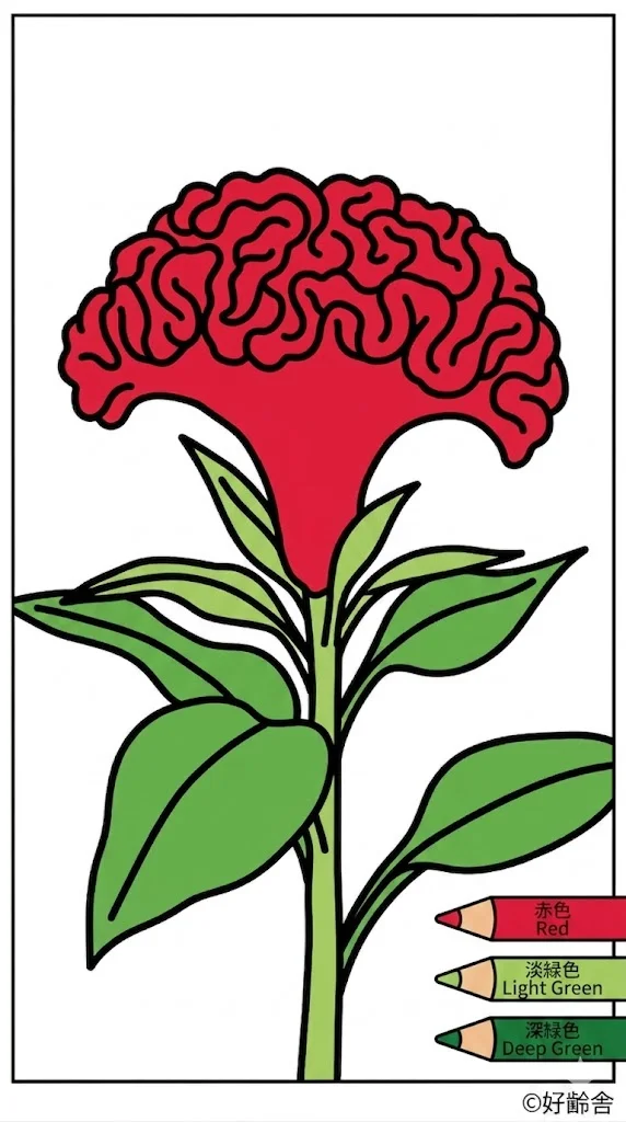 雞冠花 — 已上色