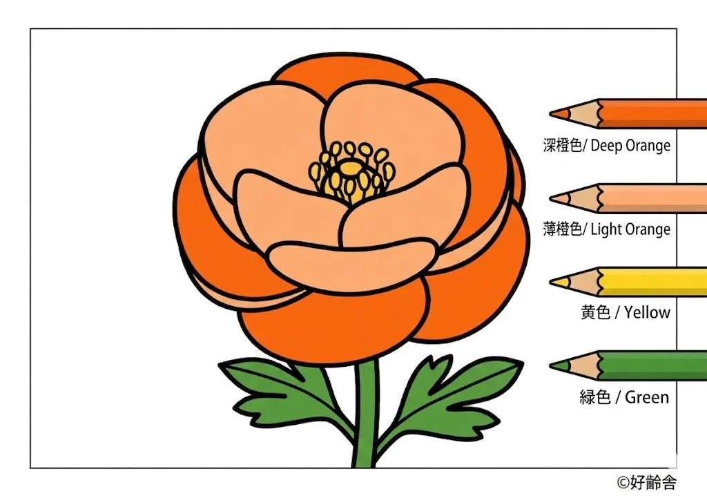 陸蓮花 — 已上色