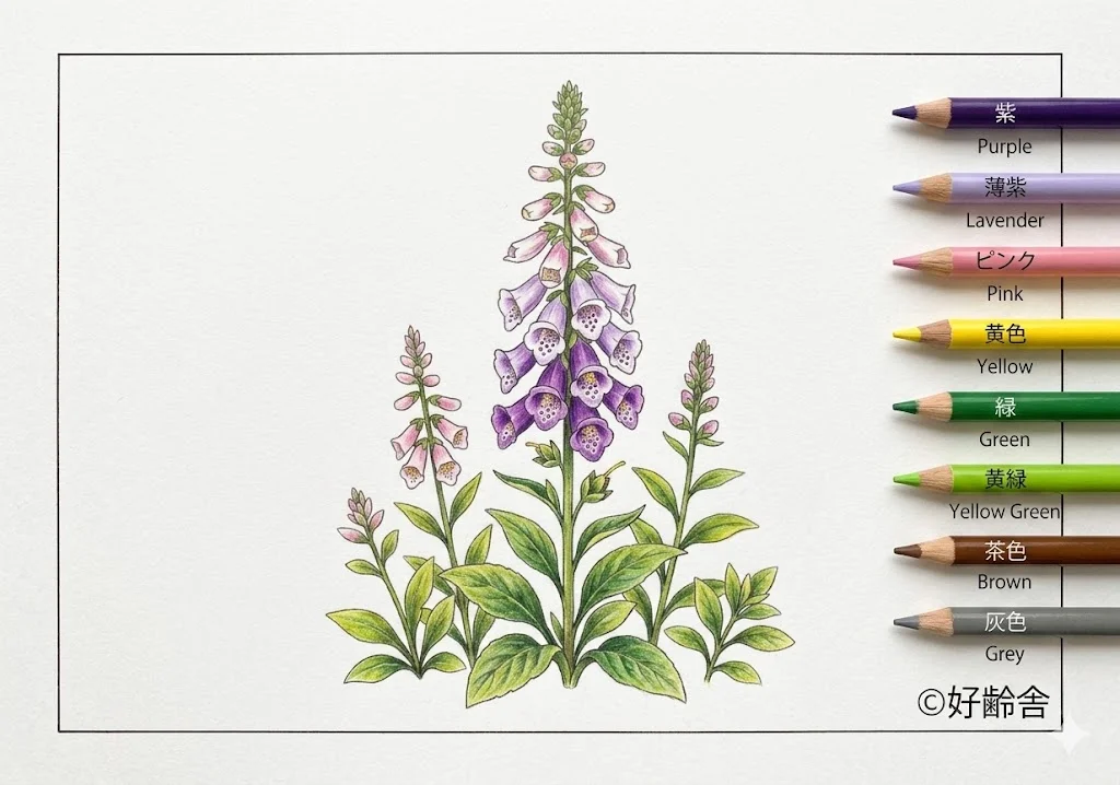 ตัวอย่างการระบายสี ระบายสี หมาจิ้งจอก (3) ฟรีสำหรับผู้สูงอายุ