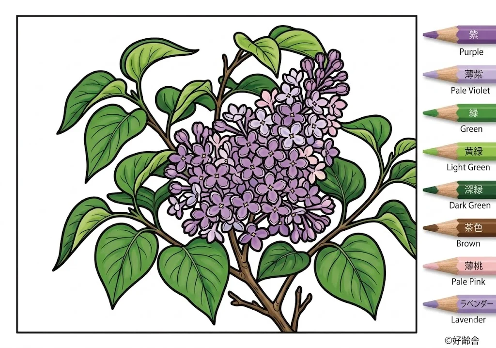 ตัวอย่างการระบายสี ระบายสี ม่วง (2) ฟรีสำหรับผู้สูงอายุ