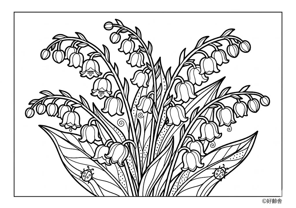 สมุดระบายสี Lily of the valley coloring book สำหรับผู้สูงอายุ