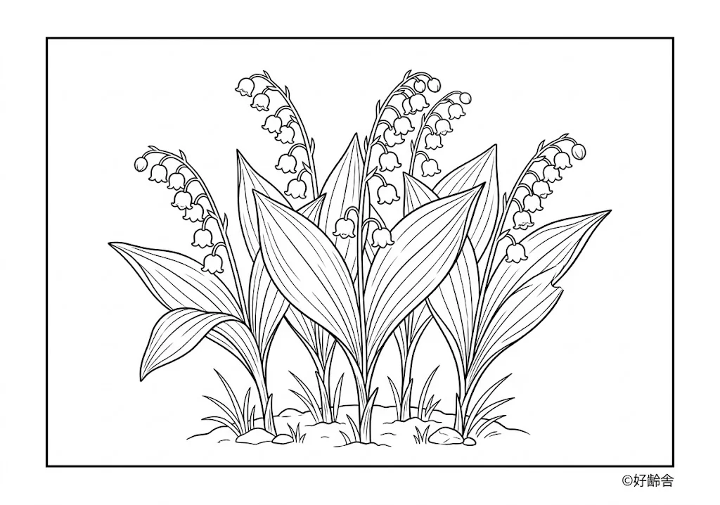 สมุดระบายสี Lily of the valley coloring book สำหรับผู้สูงอายุ