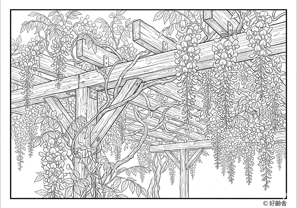 紫藤 (4)著色圖 著色圖 - 適合高齡者使用