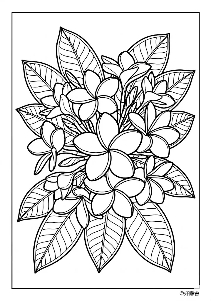 Plumeria